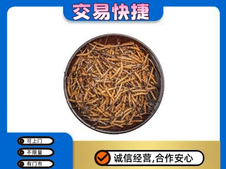 贵阳市回收散虫草